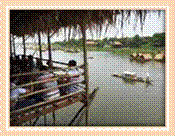 restaurant local