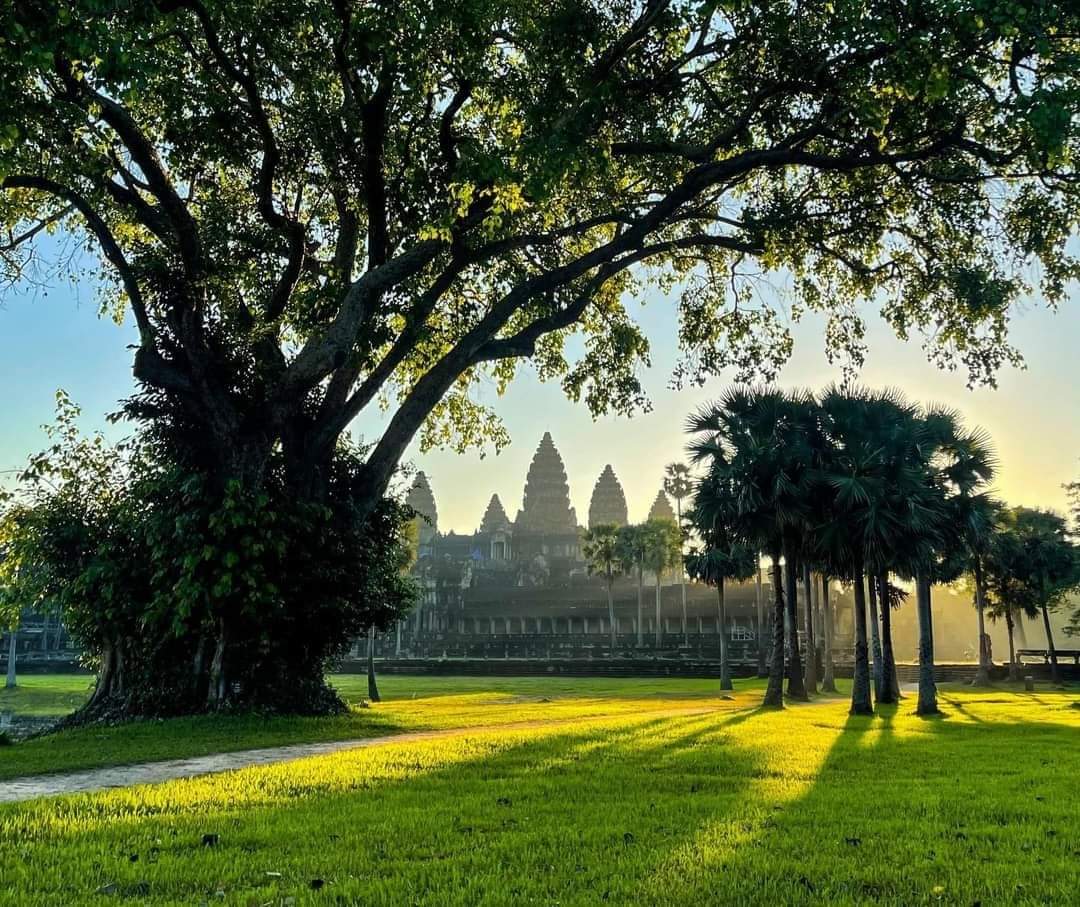 Louer, Location, Tax,i Van, mini bus, Siem Reap, Cambodge