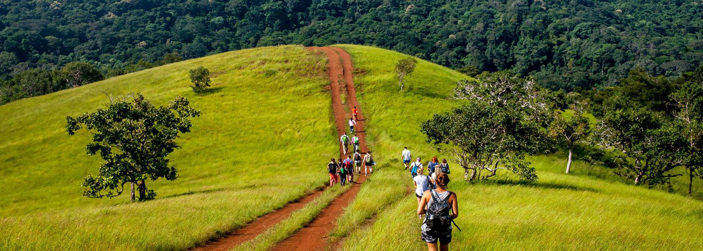 Louer, Location, Tax,i Van, mini bus, Siem Reap, Cambodge